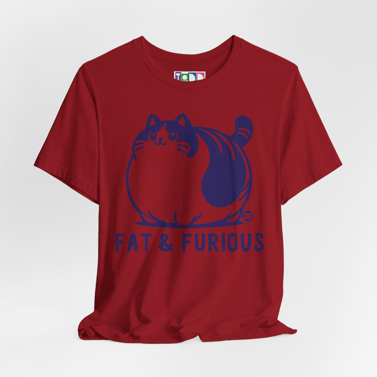 fat-and-furious-cat