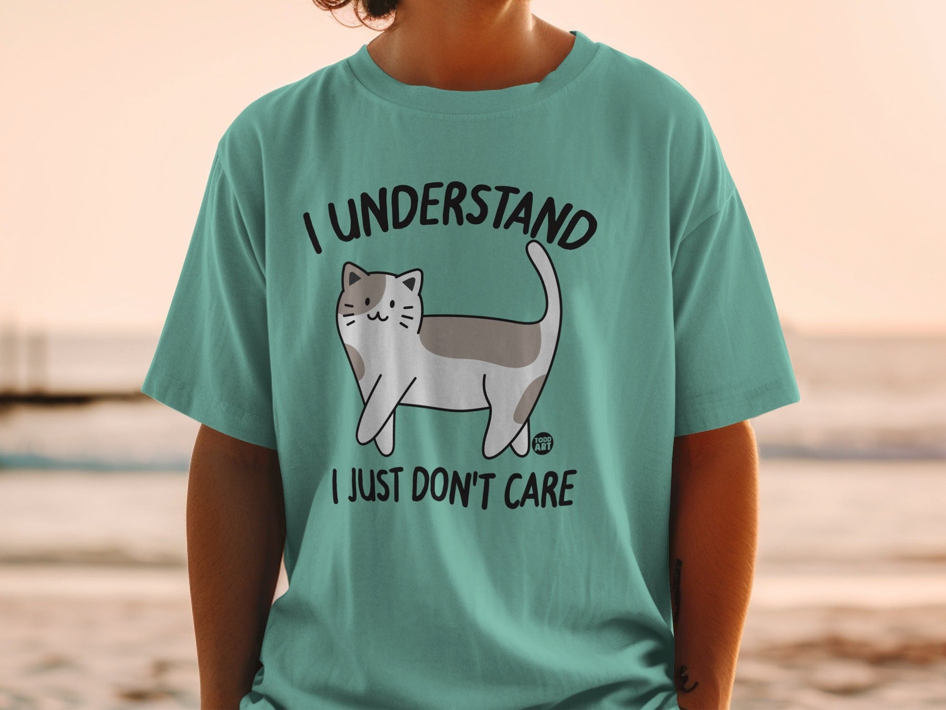 I Understand I Just Don't Care Cat Graphic T-Shirt