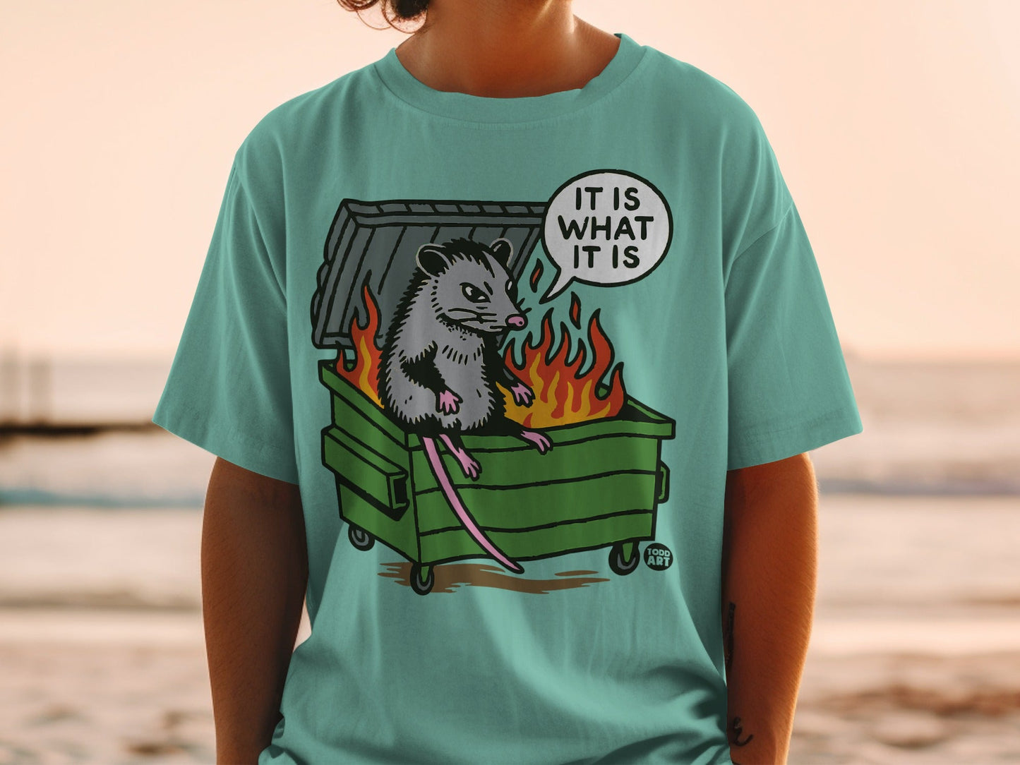 Opossum in a dumpster on fire with text "It is what it is".