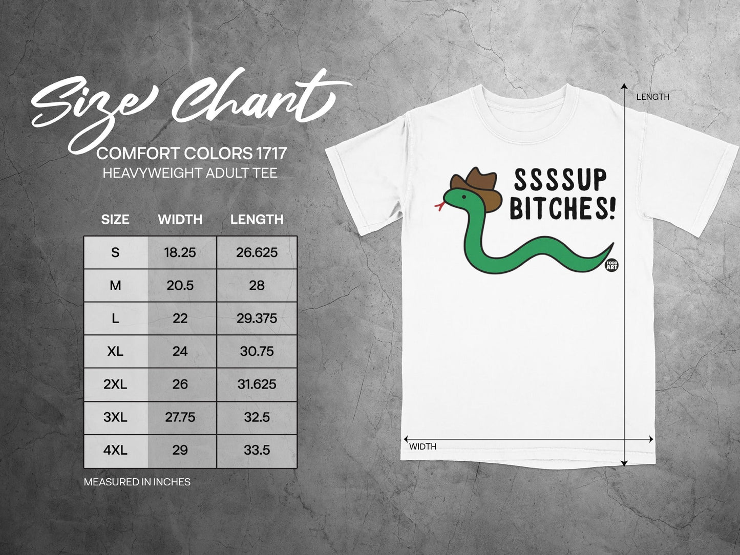 Comfort Colors 1717 heavyweight tee size chart with snake graphic.