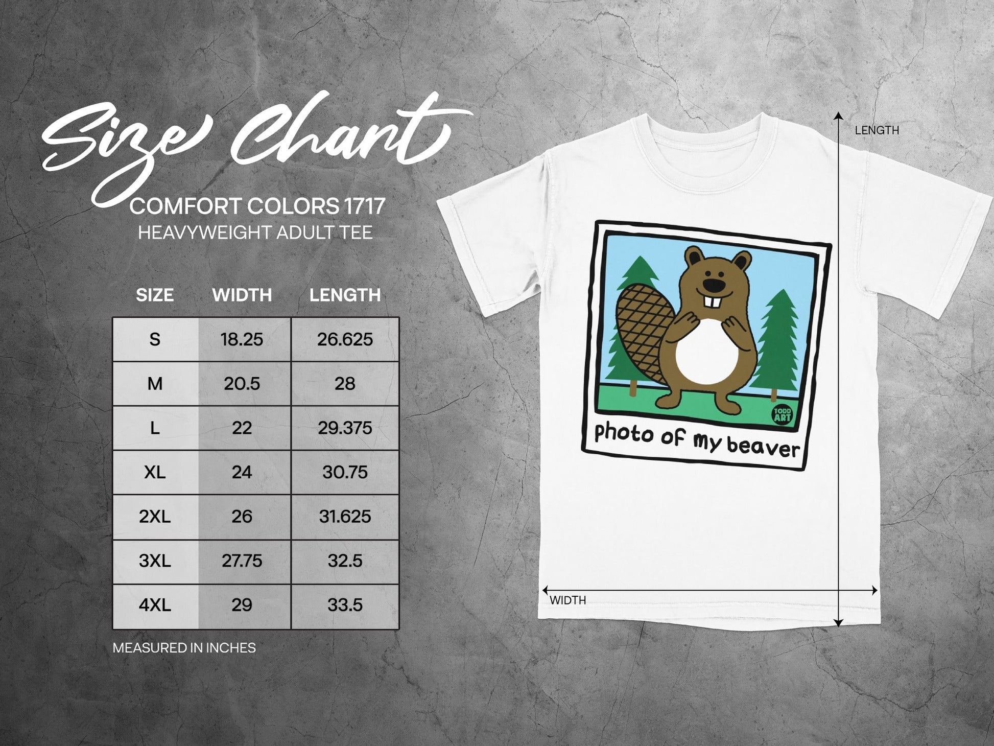 Size chart for Comfort Colors 1717 heavyweight adult tee with cartoon beaver graphic.
