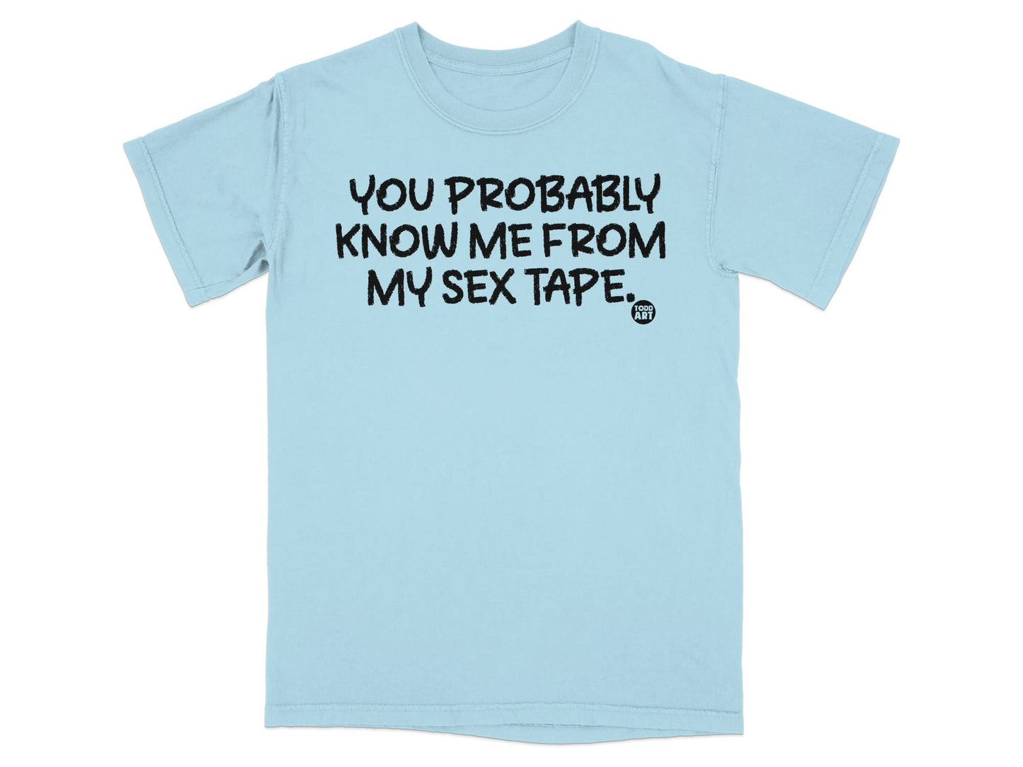 You Probably Know Me From My Sex Tape T-shirt