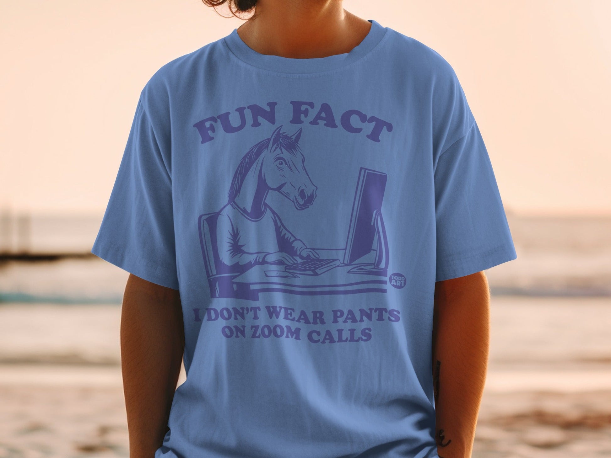 Fun Fact I Don't Wear Pants on Zoom Calls Tshirt