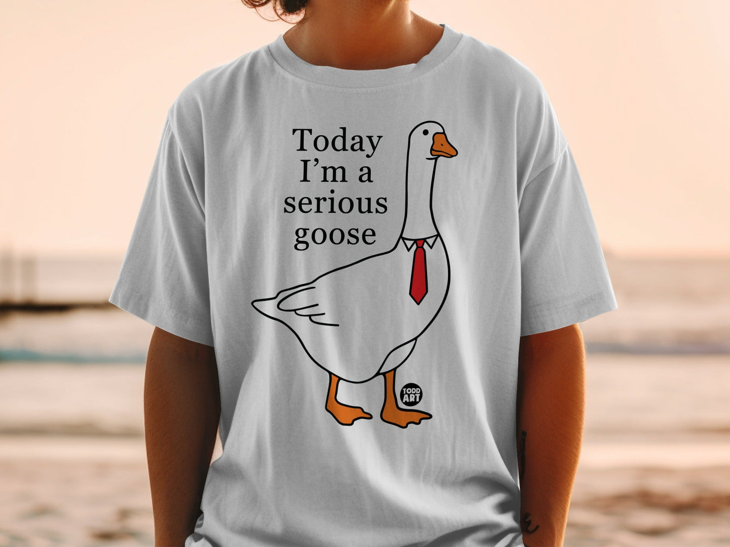 Today I'm a Serious Goose Funny Graphic T-Shirt