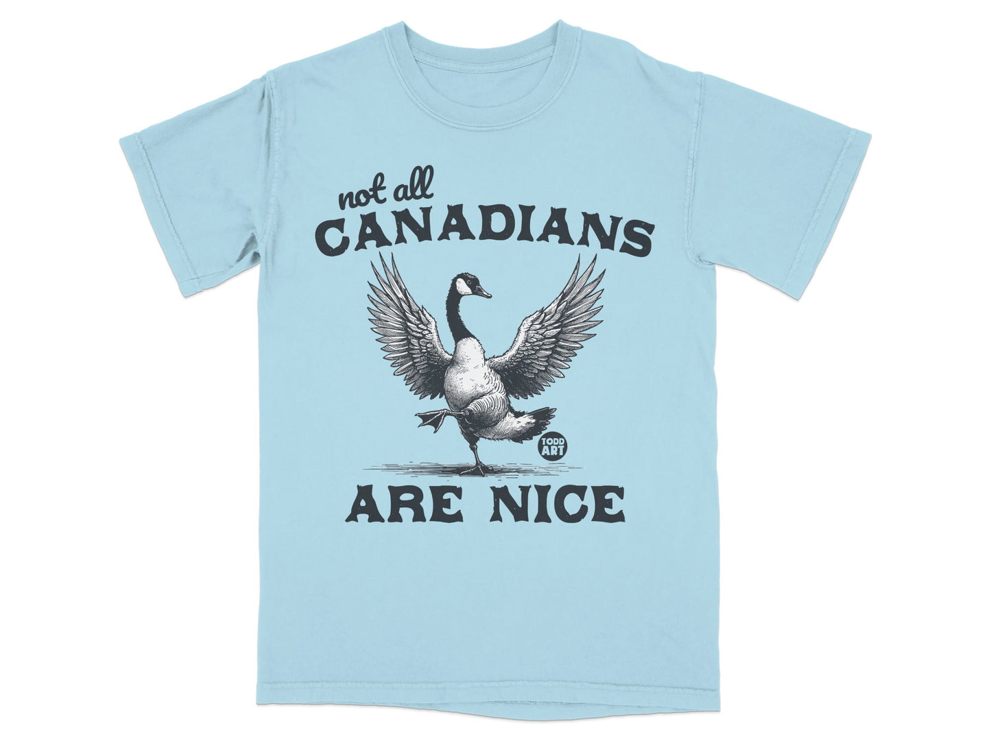 Not All Canadians Are Nice Funny Graphic Tee Shirt