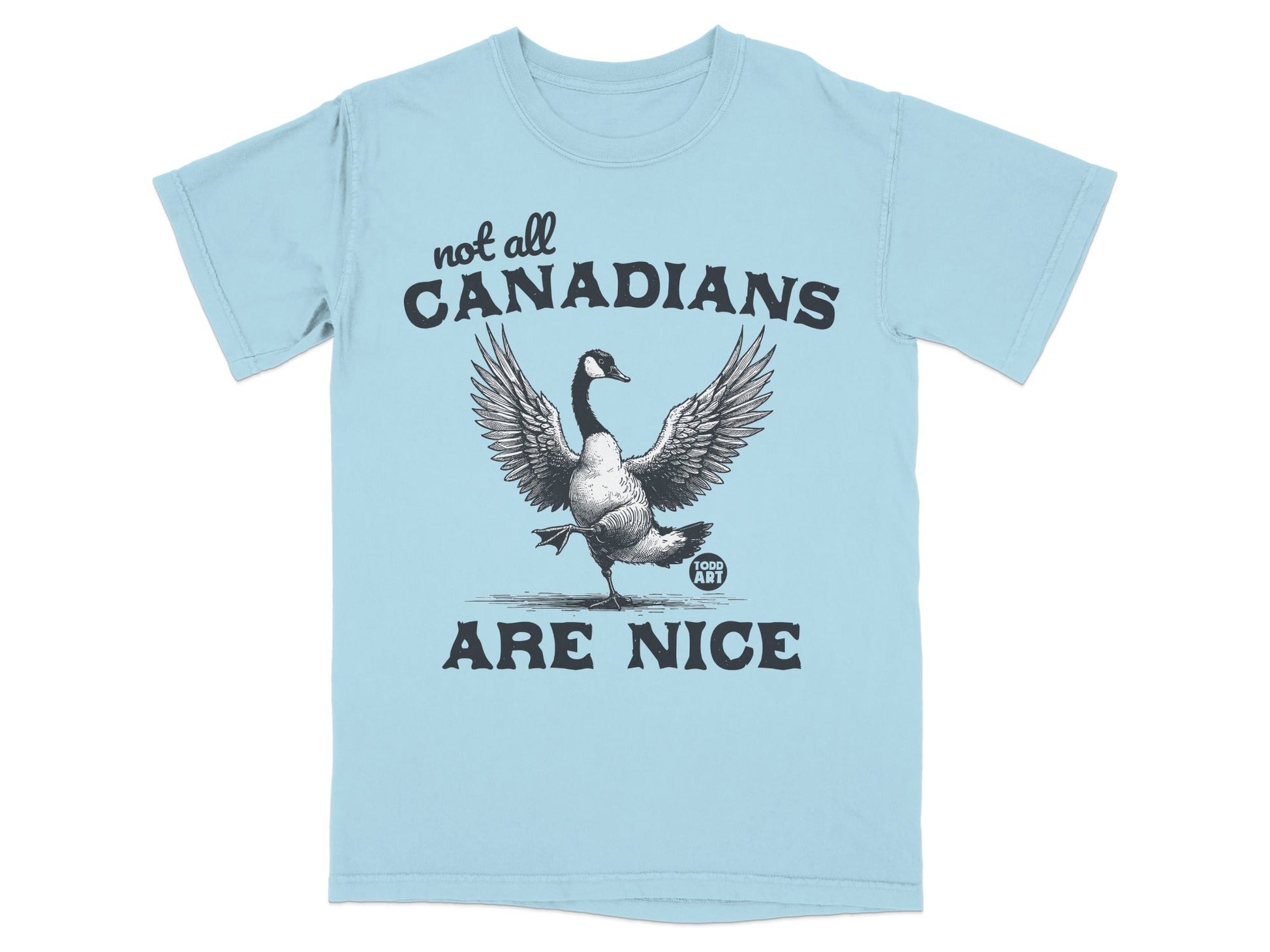 Not All Canadians Are Nice Funny Graphic Tee Shirt