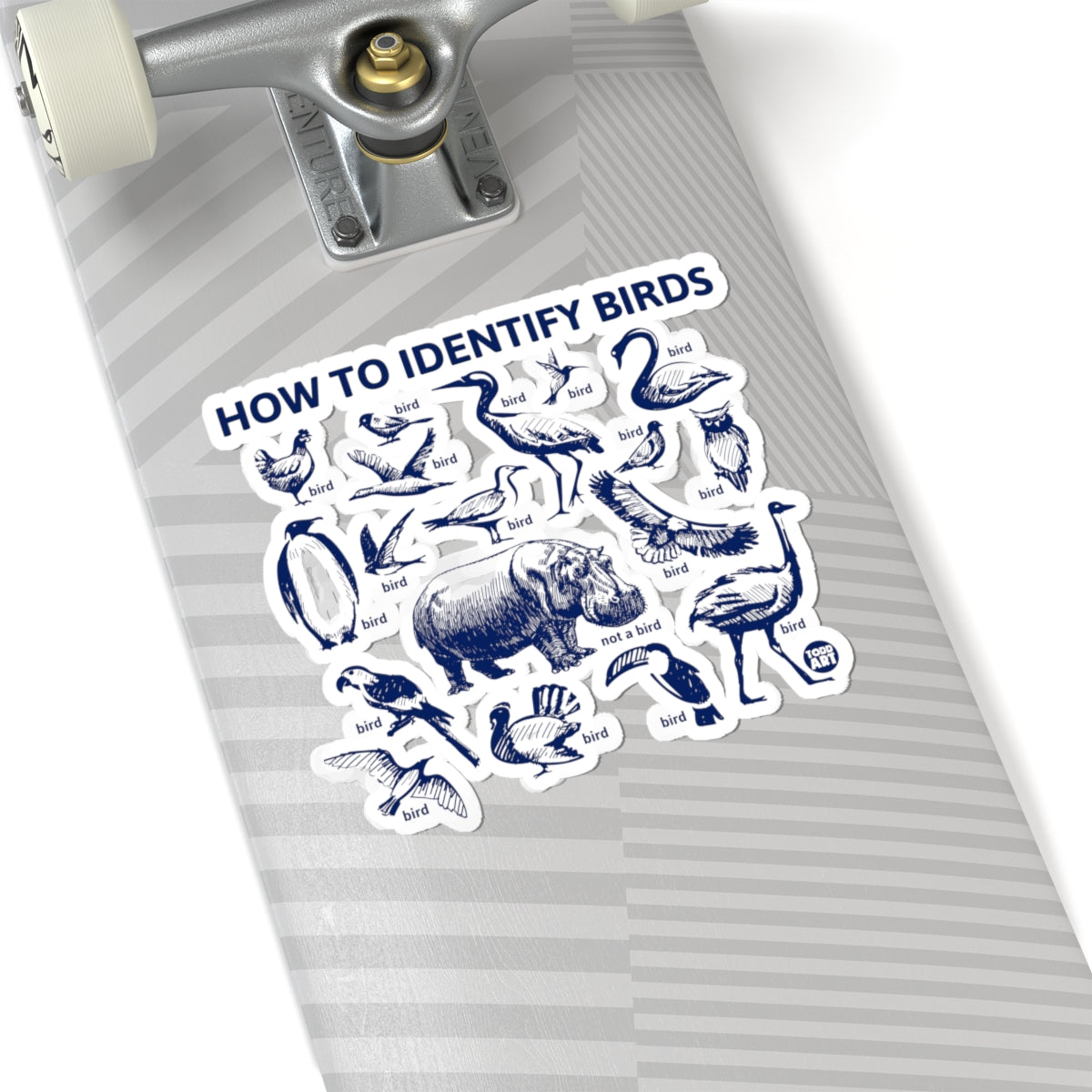 Bird Identification GuideTodd Art Sticker