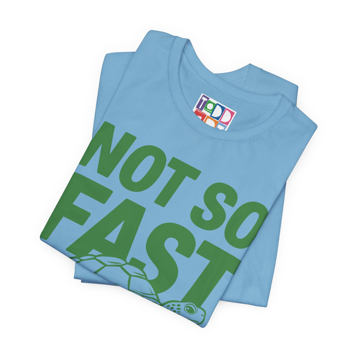 not-so-fast-turtle