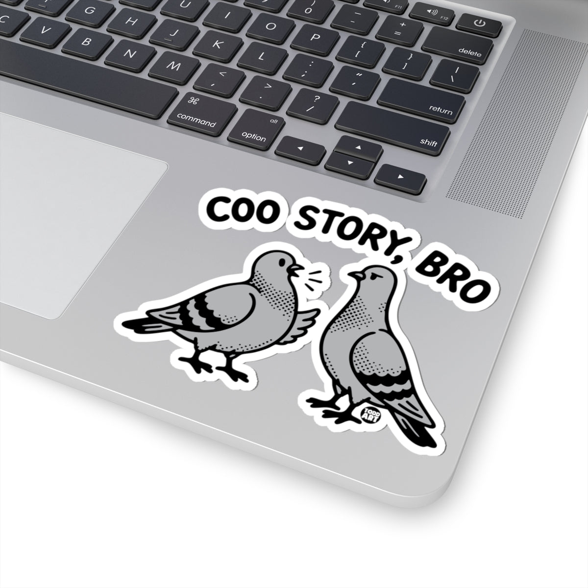 coo story bro