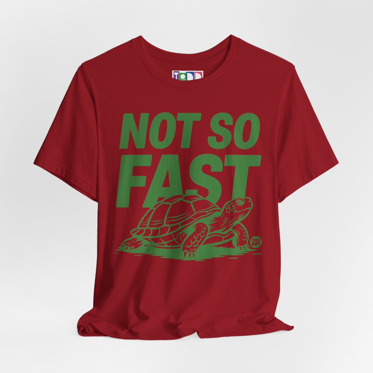 not-so-fast-turtle