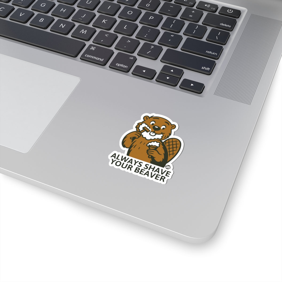 always-shave-your-beaver