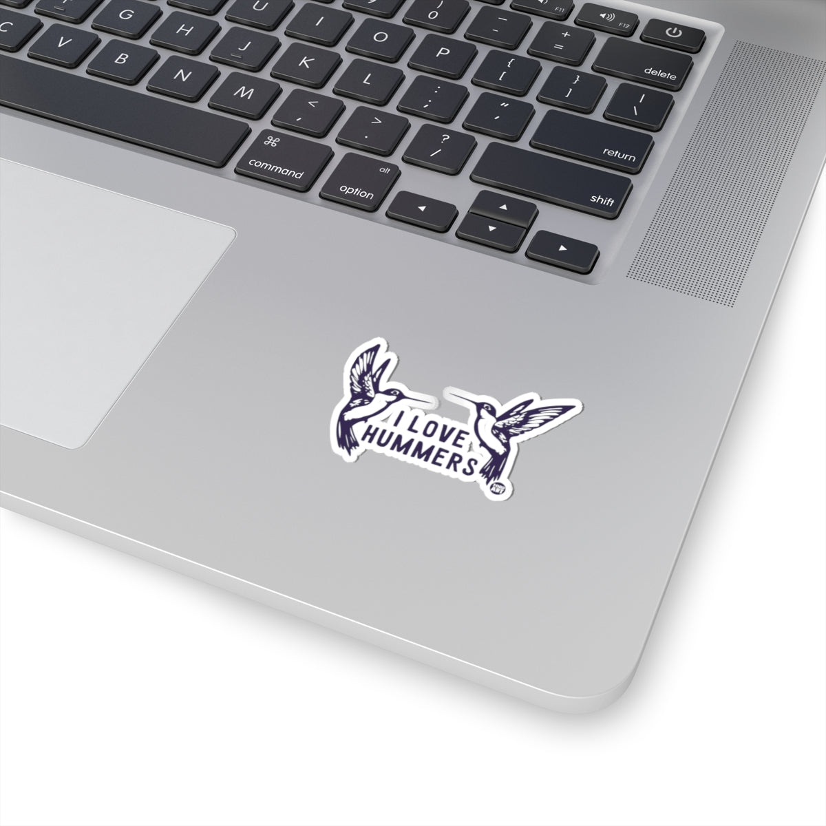 I Love Hummers Birds Todd Art Sticker