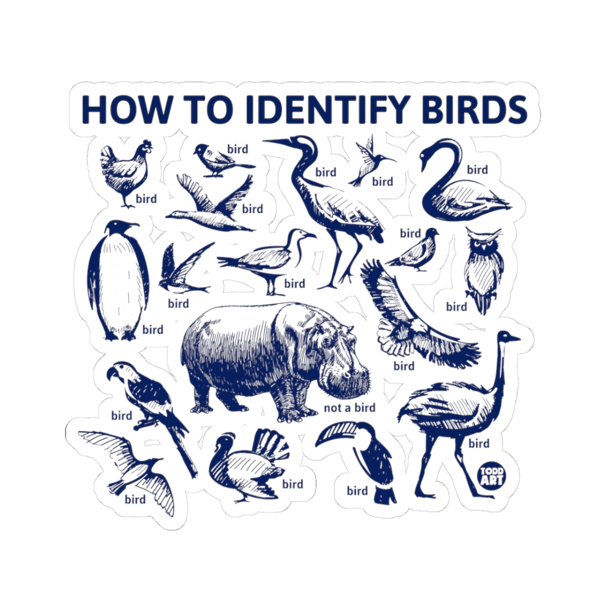 Bird Identification GuideTodd Art Sticker