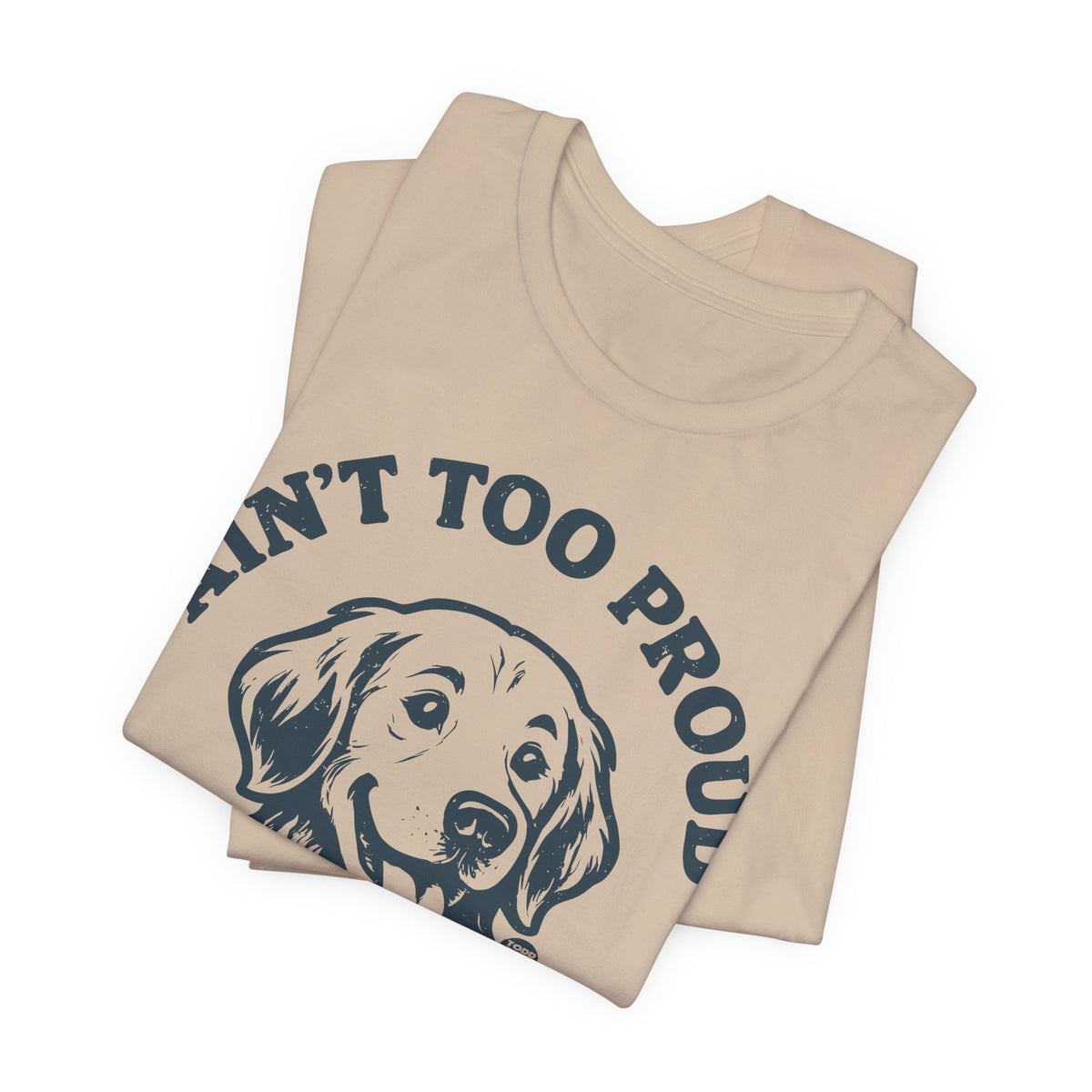 ain't-to-proud-to-beg