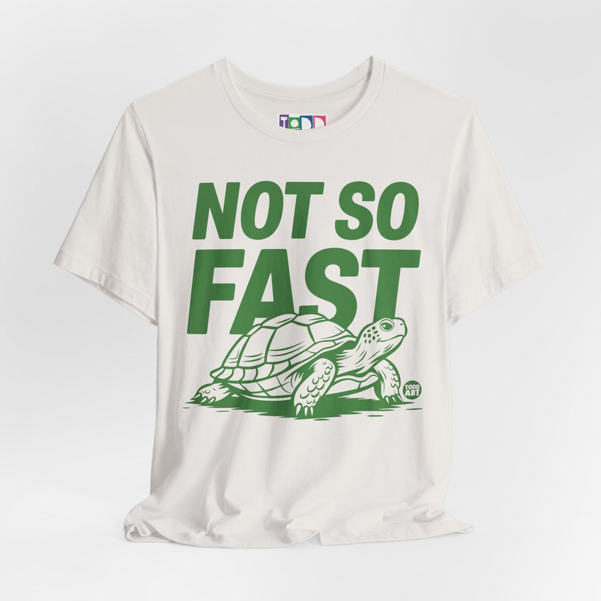 not-so-fast-turtle