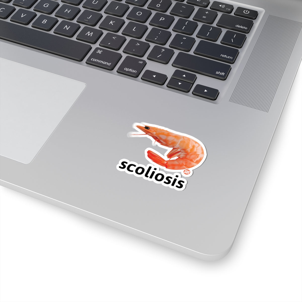 Scoliosis Todd Art Sticker