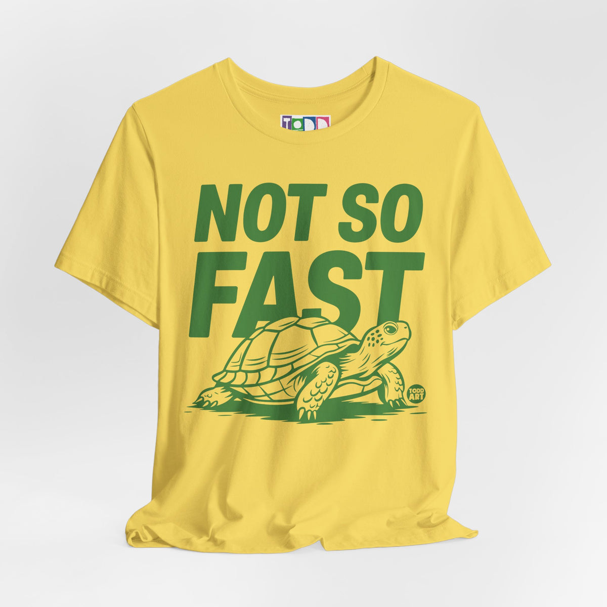 not-so-fast-turtle