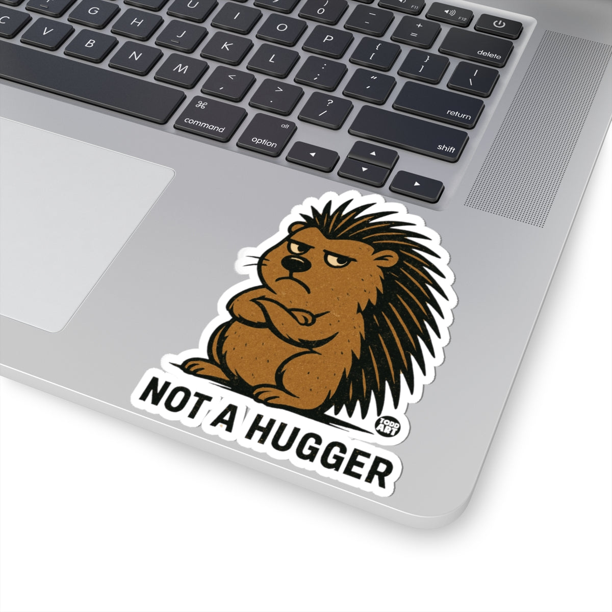Grumpy LionTodd Art Sticker