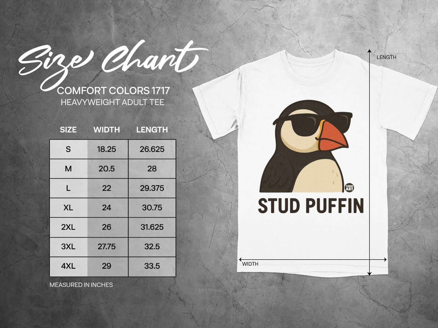 Stud Puffin Graphic T-Shirt Size Chart for Adult Tee