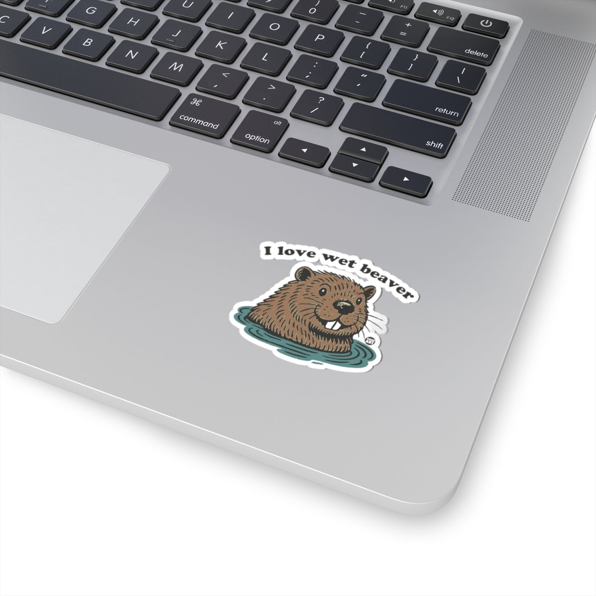 Beaver in waterTodd Art Sticker
