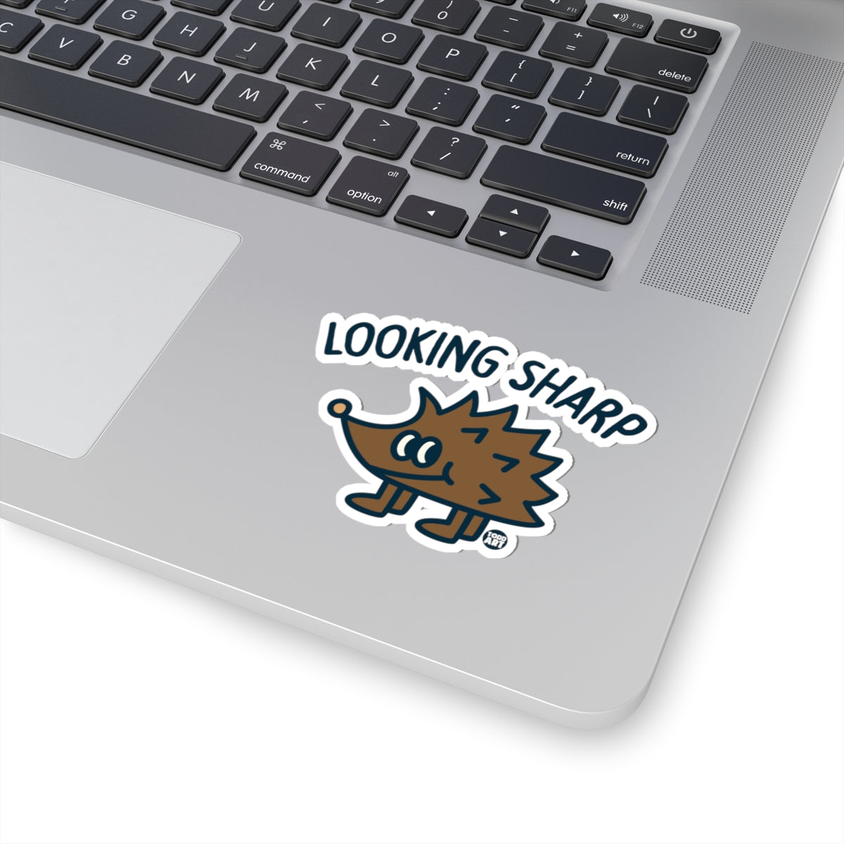 Looking SharpTodd Art Sticker