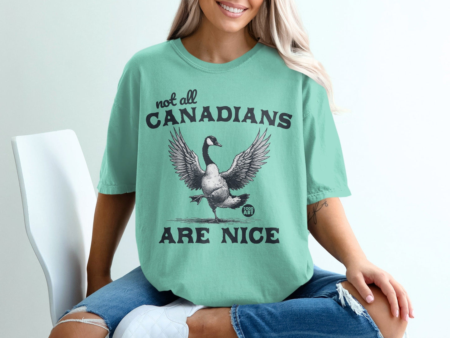 Not All Canadians Are Nice Graphic Tee Product