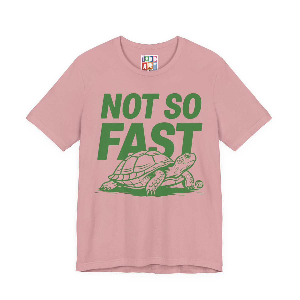 not-so-fast-turtle