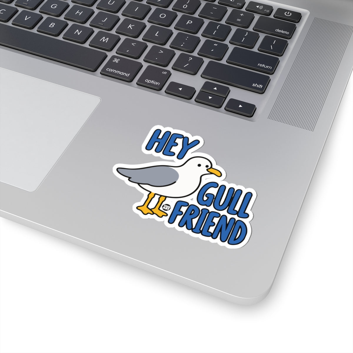 hey-gull-friend-cute