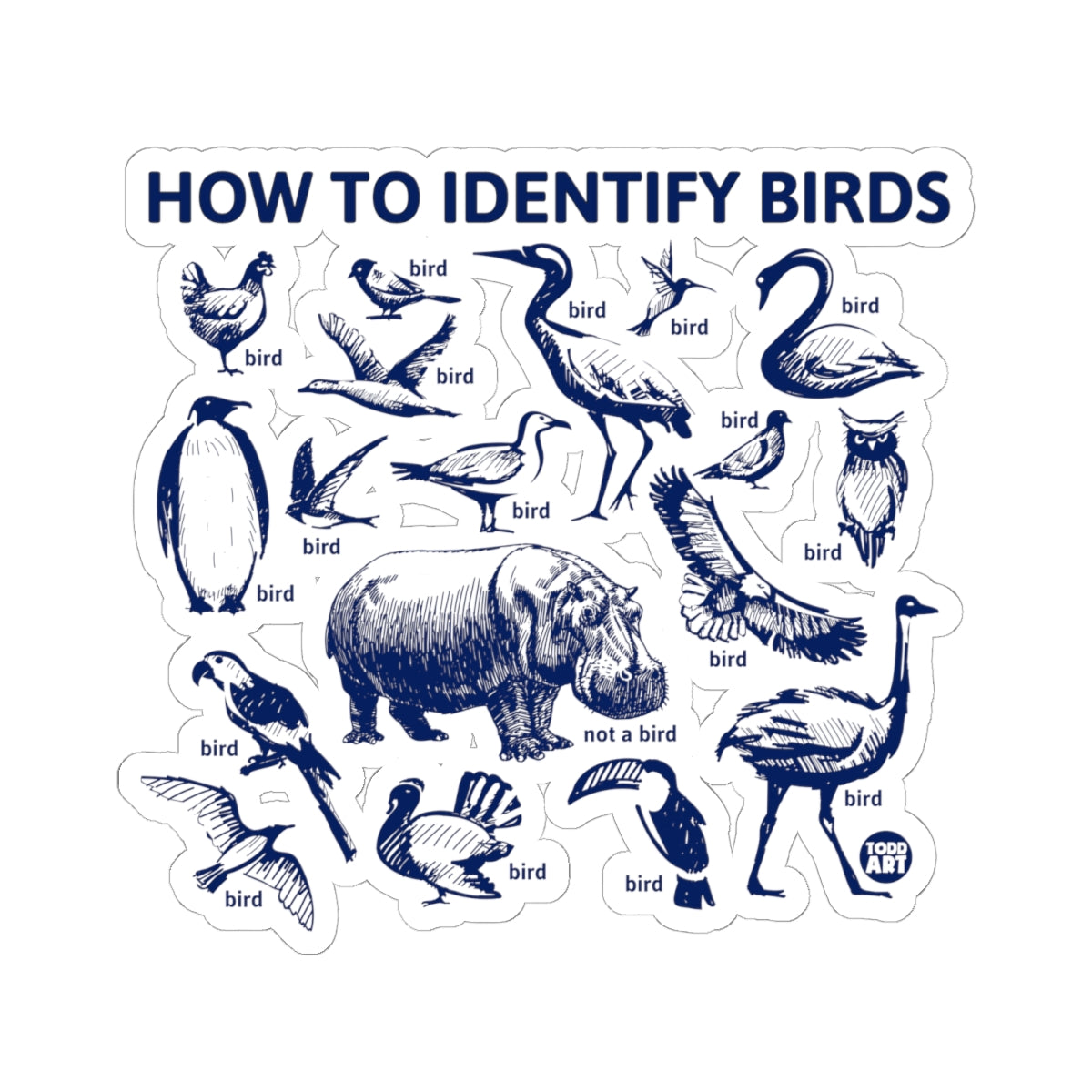 Bird Identification GuideTodd Art Sticker