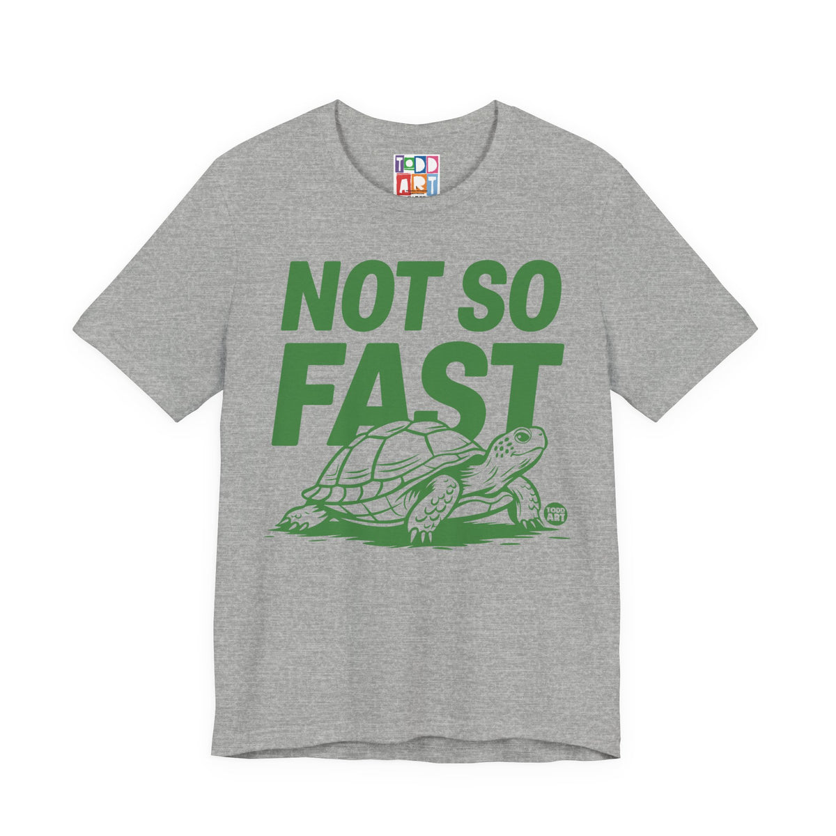 not-so-fast-turtle
