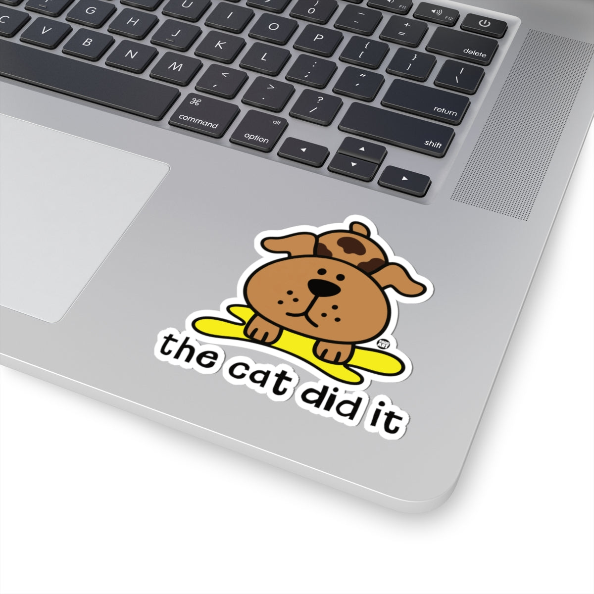 cat-did-it-cute