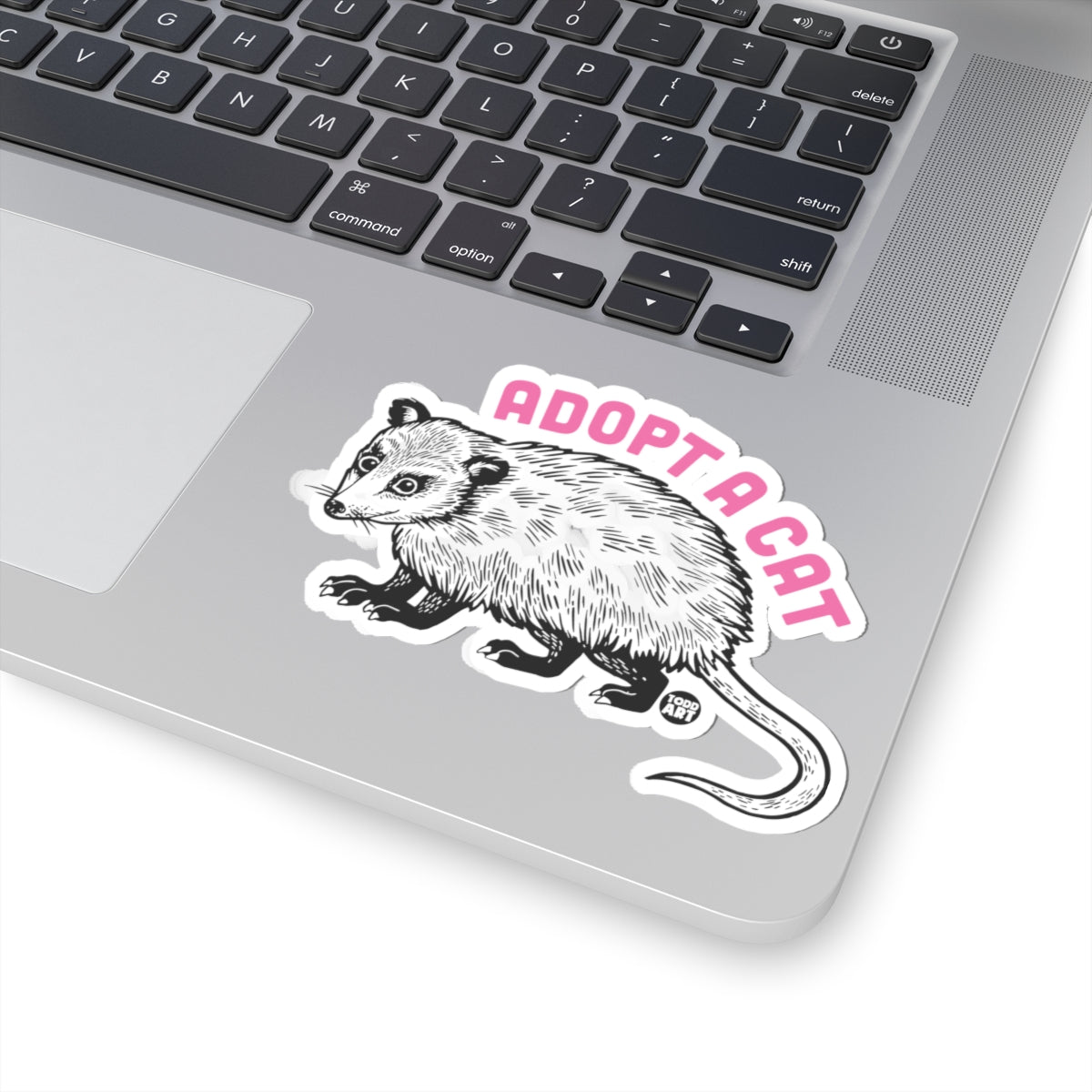 adopt-a-cat-possum