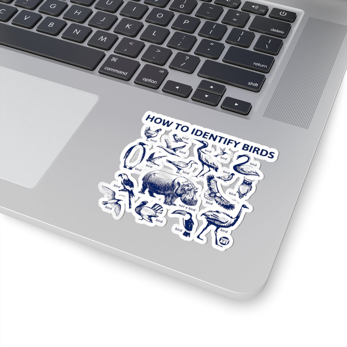Bird Identification GuideTodd Art Sticker
