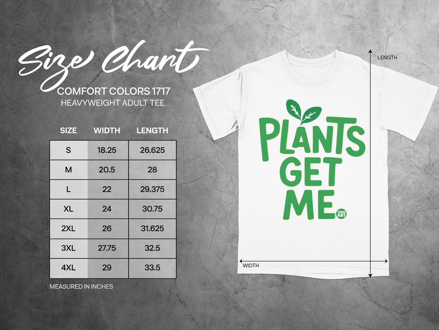 Comfort Colors 1717 adult t-shirt size chart with width and length in inches.