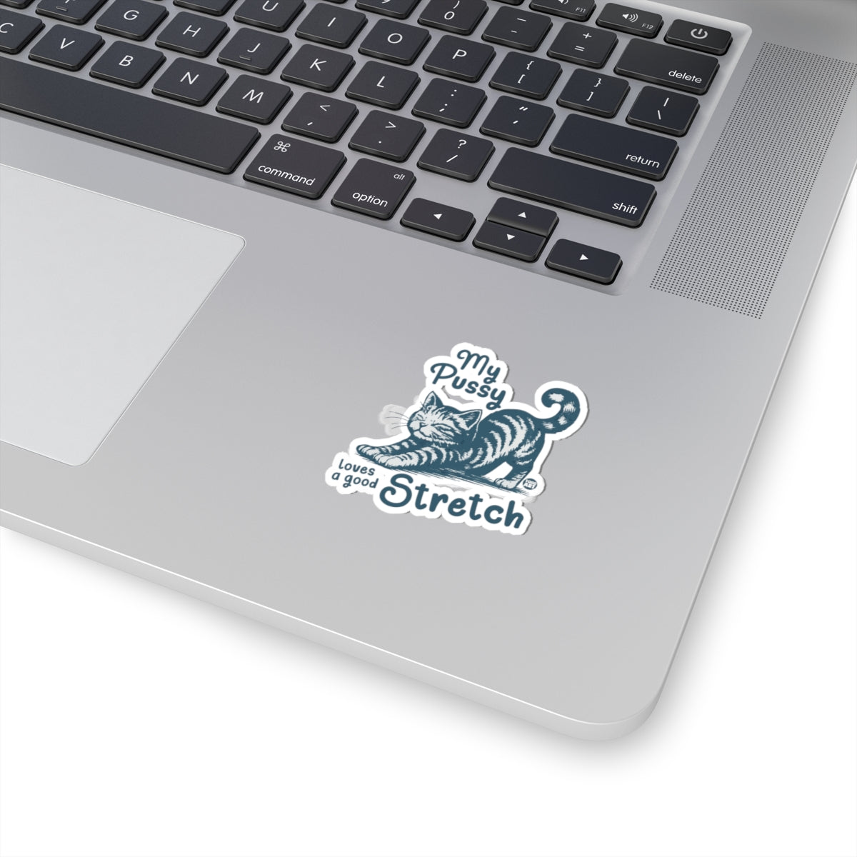 My PussyTodd Art Sticker