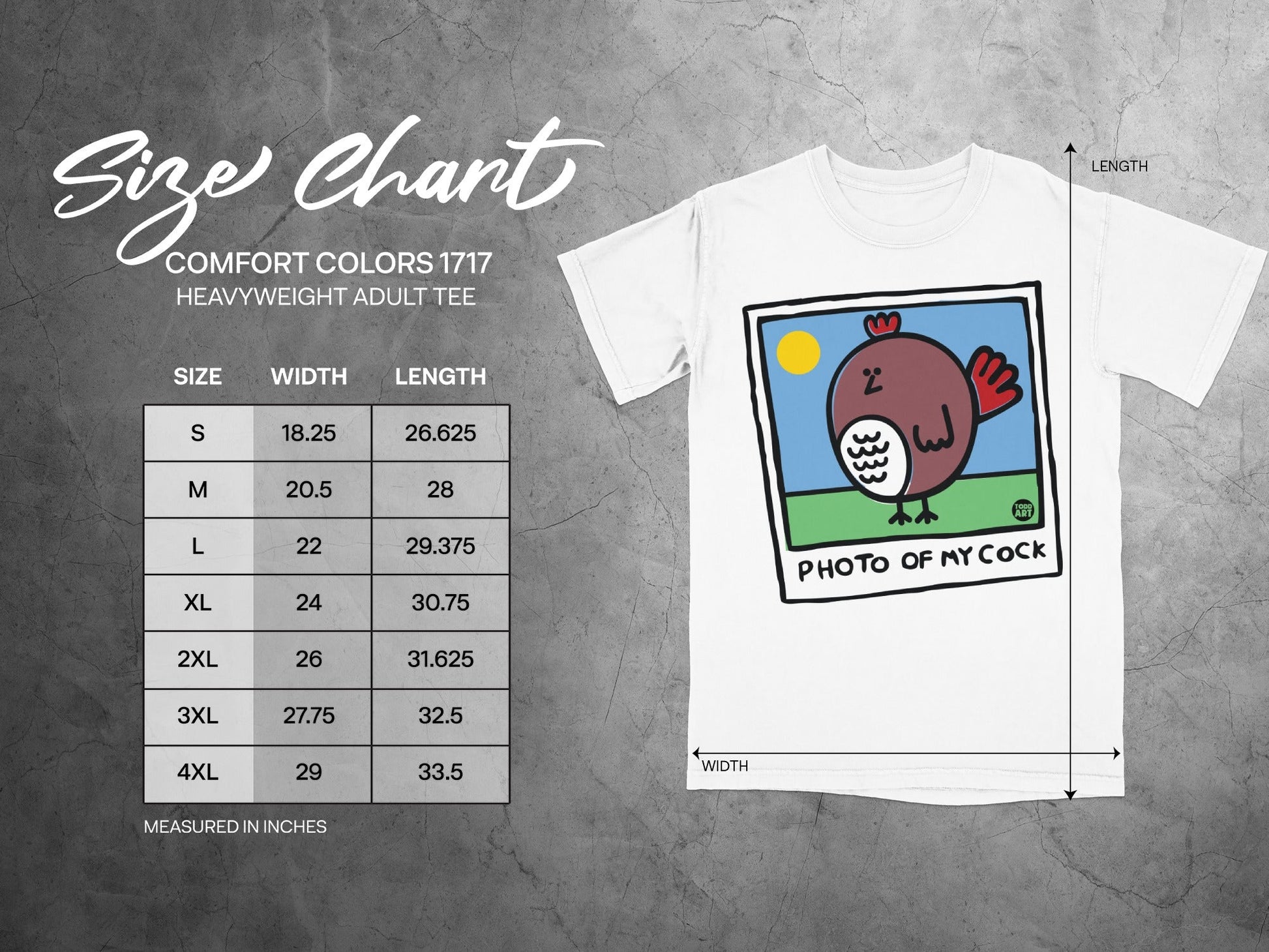 Comfort Colors 1717 heavyweight t-shirt size chart and a t-shirt with "PHOTO OF MY COCK" graphic.