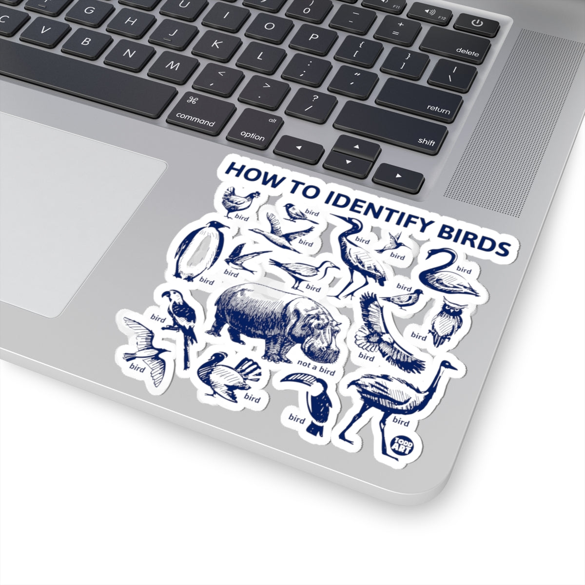 Bird Identification GuideTodd Art Sticker