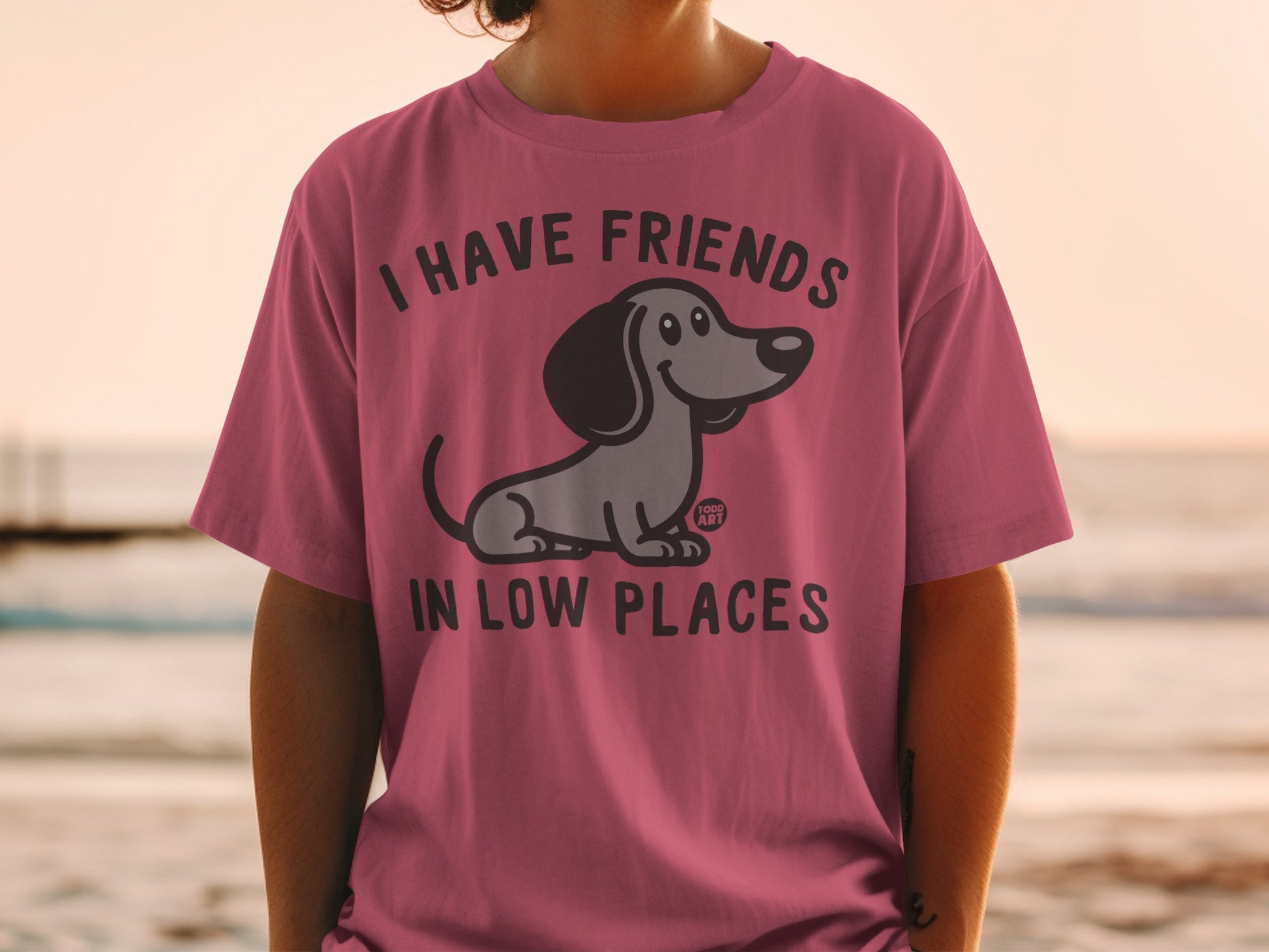 I Have Friends In Low Places Funny Dog Graphic Shirt