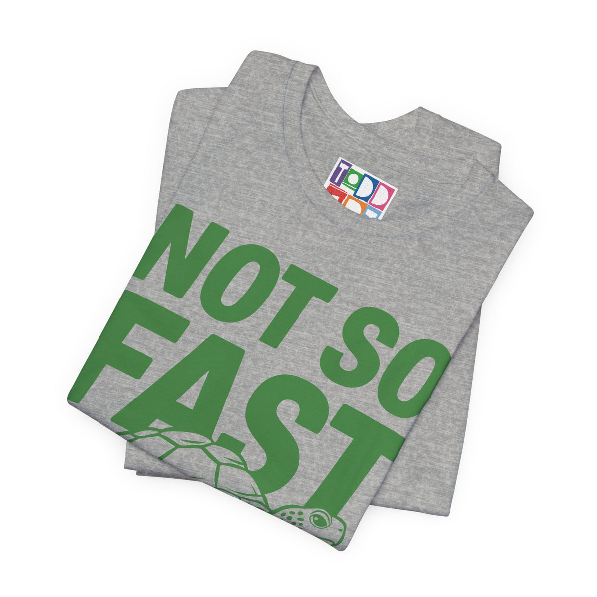 not-so-fast-turtle
