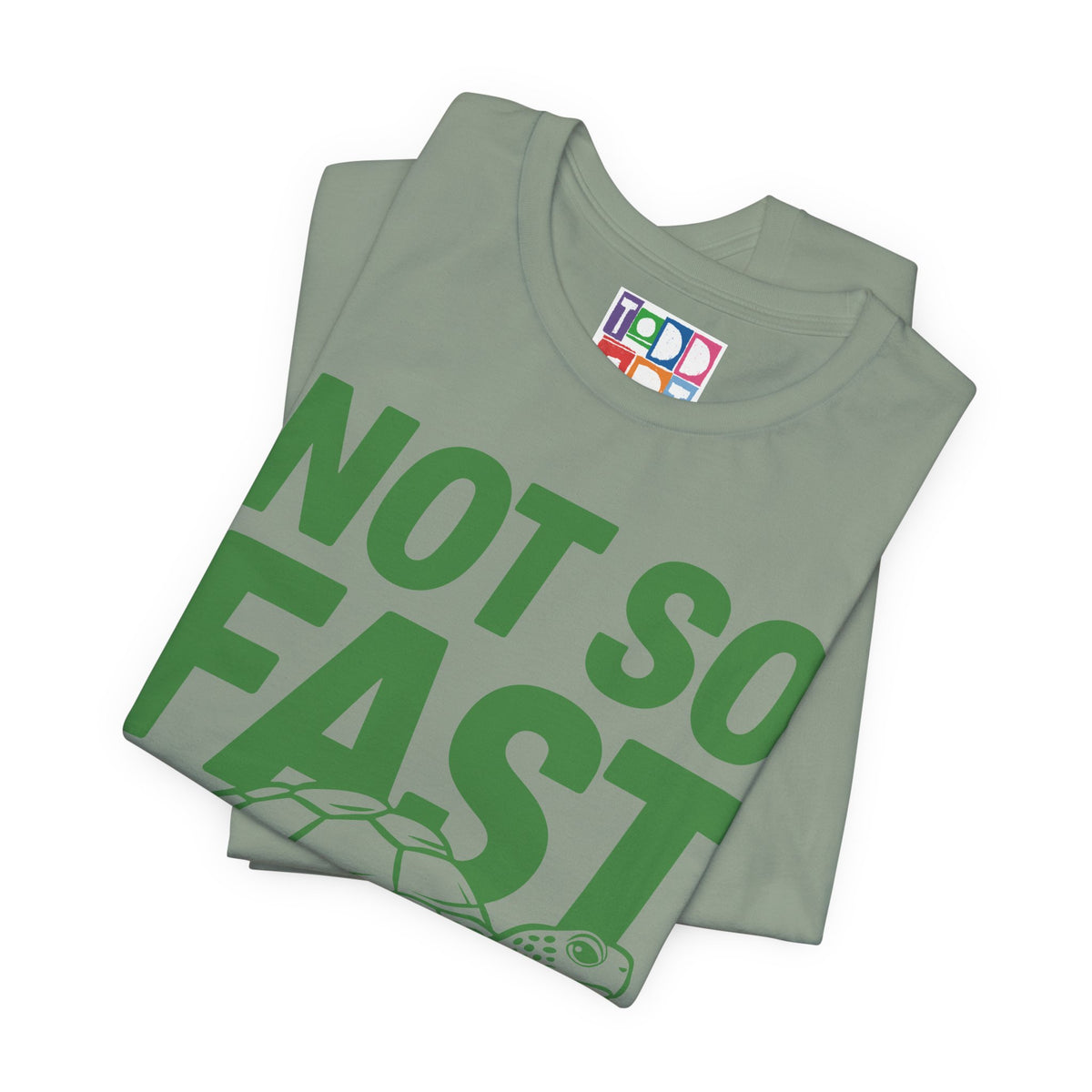 not-so-fast-turtle