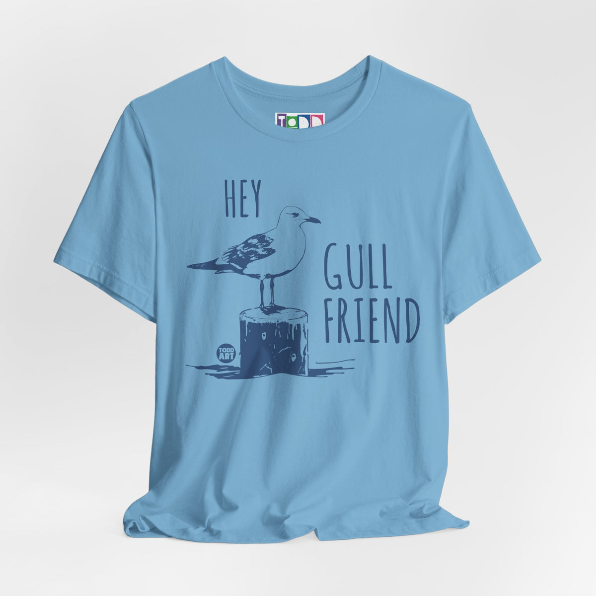 hey-gull-friend-seagull