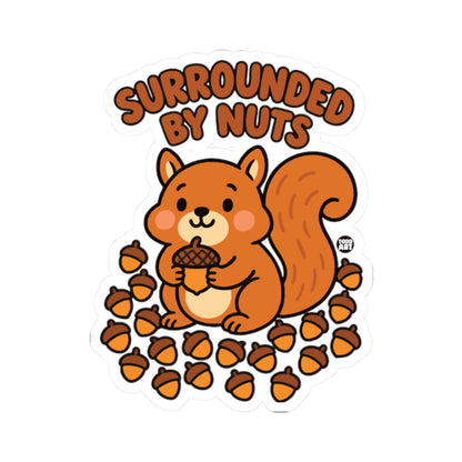 surrounded-nuts-cute