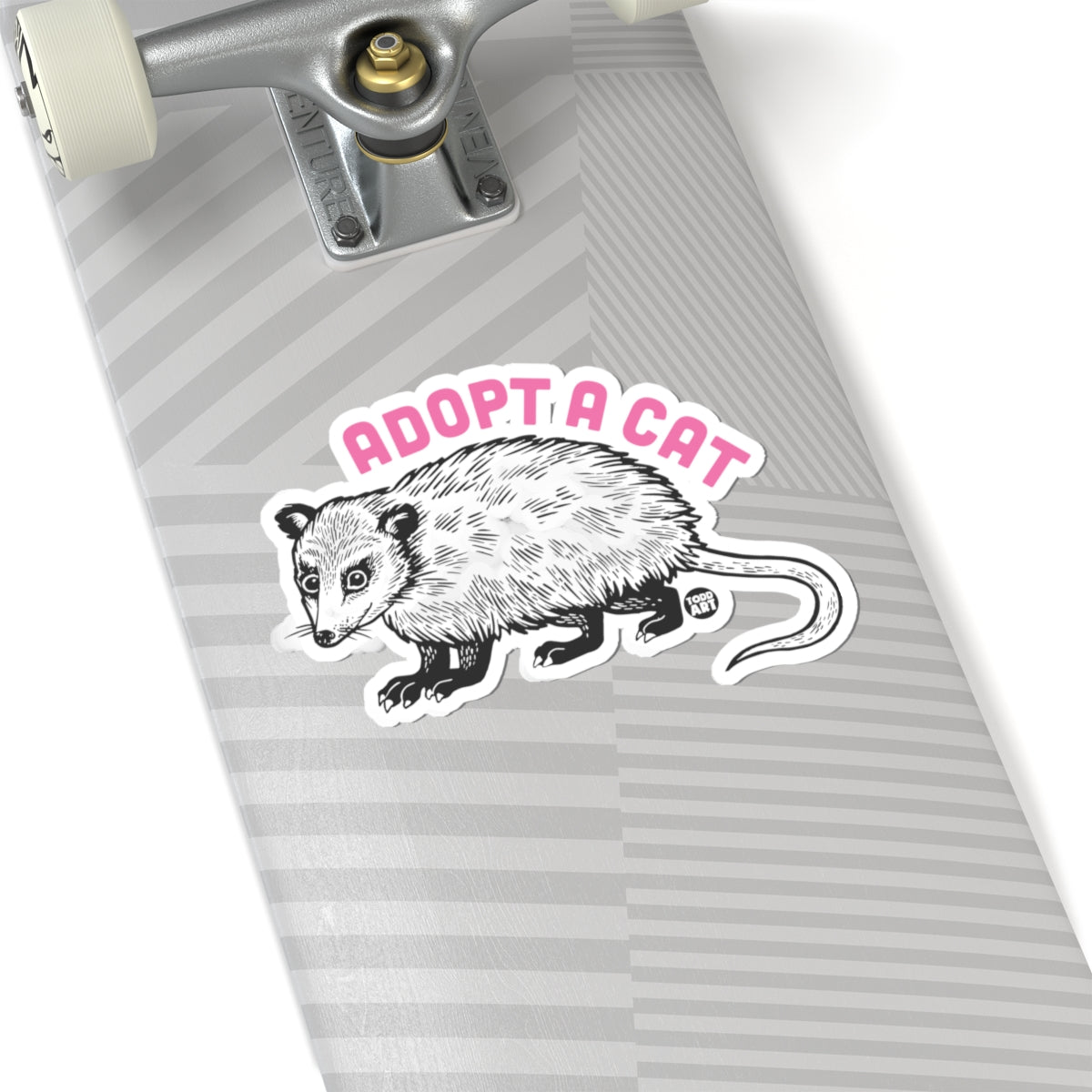 adopt-a-cat-possum