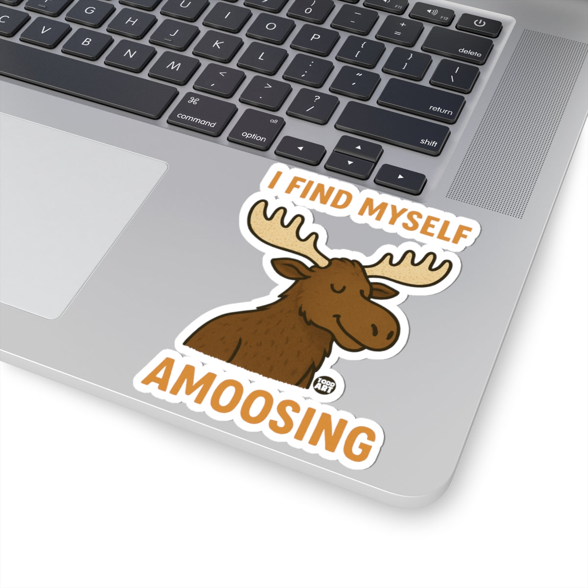 Amoosing Self DiscoveryTodd Art Sticker