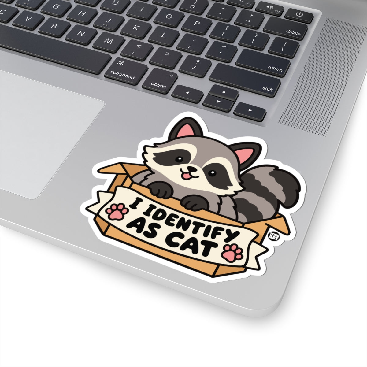 identify-cat-cute