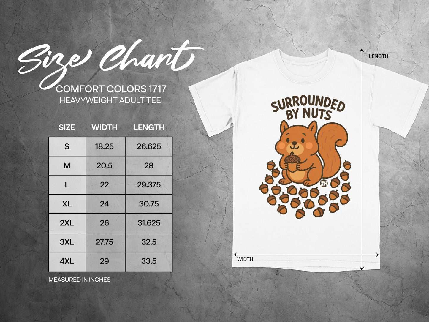 Comfort Colors 1717 adult tee size chart with measurements in inches.