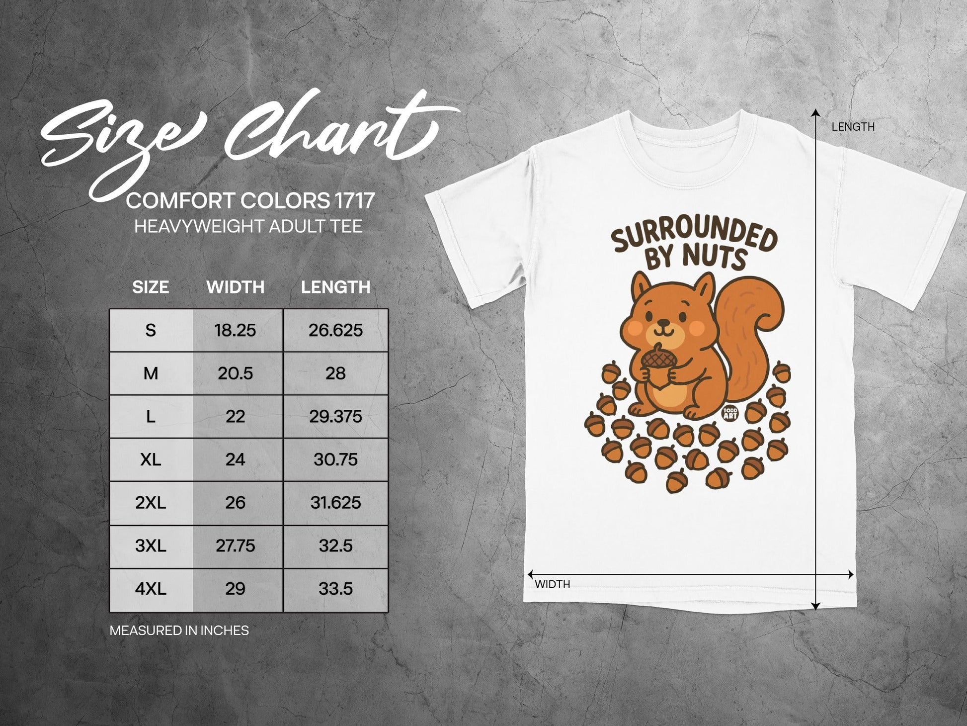 Comfort Colors 1717 adult tee size chart with measurements in inches.