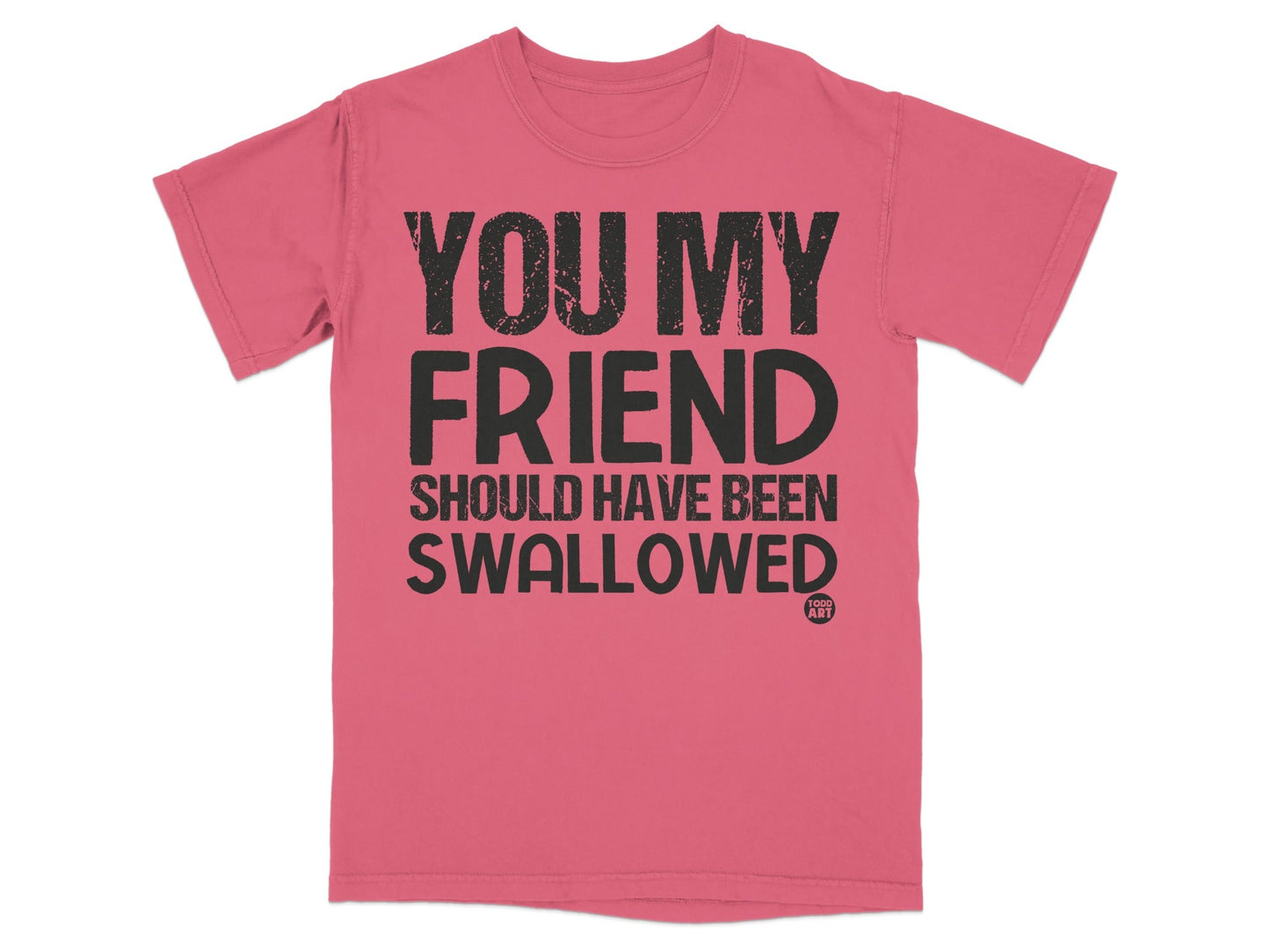 YOU MY FRIEND SHOULD HAVE BEEN SWALLOWED T-shirt