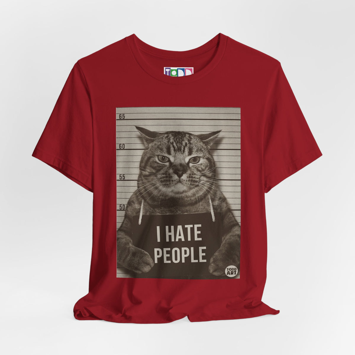 i-hate-people-cat
