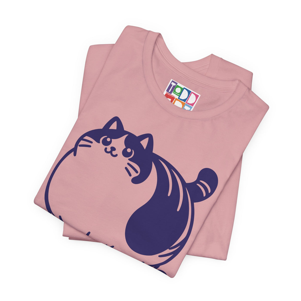 fat-and-furious-cat
